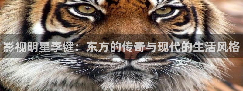 韓倫影院極速播放：影視明星李健：東方的傳奇與現代的生活風格